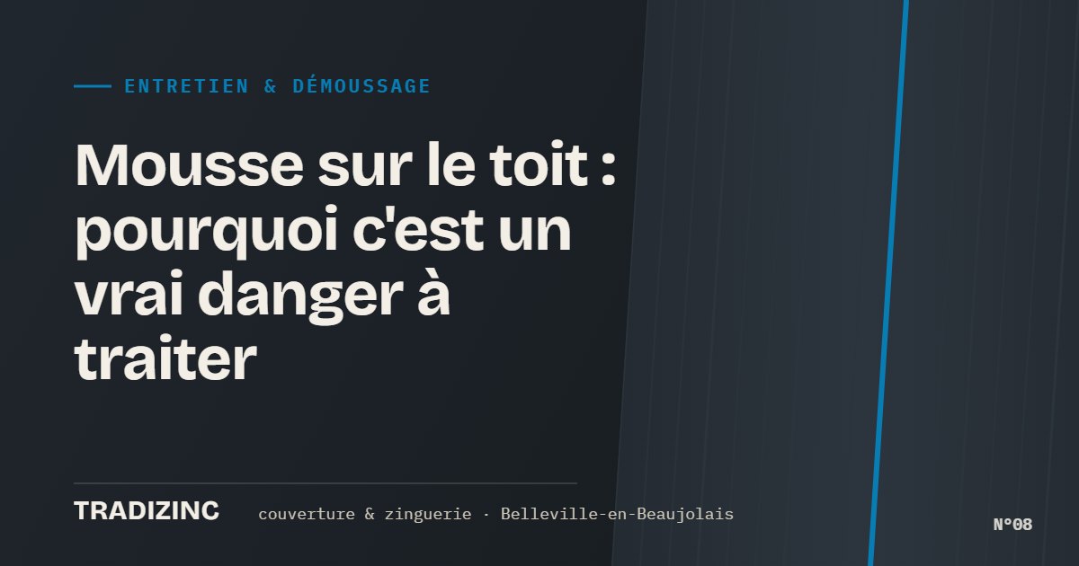 Mousse sur le toit : pourquoi c'est un vrai danger à traiter — Tradizinc, couvreur zingueur à Belleville-en-Beaujolais